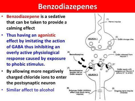 benzodiazepines are similar to other gaba